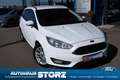 Ford Focus Turnier Business BUSINESS PAKET|SICHT PAKET|KLIMAA Blanc - thumbnail 1