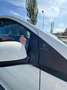 Ford Ka/Ka+ Ka/Ka+ 1.2 Cool Blanco - thumbnail 11