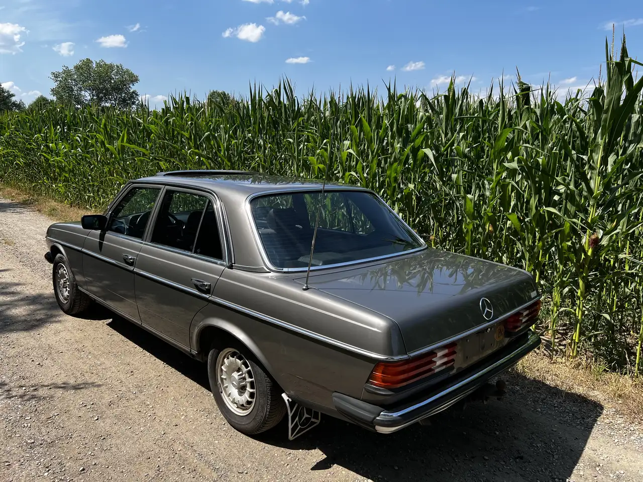 Mercedes-Benz 200 W123 200 benzine M102 Full service book, foto 5