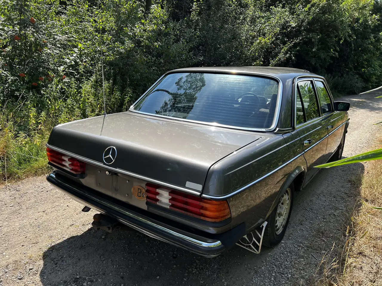 Mercedes-Benz 200 W123 200 benzine M102 Full service book, foto 6