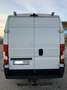 Peugeot Boxer Frigorifico - thumbnail 5