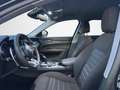 Alfa Romeo Stelvio Stelvio 2.2 Turbo Diesel 160 Cv. AT8 RWD Business Grigio - thumbnail 9