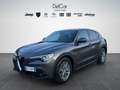 Alfa Romeo Stelvio Stelvio 2.2 Turbo Diesel 160 Cv. AT8 RWD Business Grigio - thumbnail 2