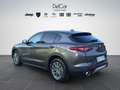 Alfa Romeo Stelvio Stelvio 2.2 Turbo Diesel 160 Cv. AT8 RWD Business Grigio - thumbnail 4
