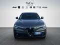 Alfa Romeo Stelvio Stelvio 2.2 Turbo Diesel 160 Cv. AT8 RWD Business Grigio - thumbnail 1
