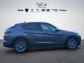 Alfa Romeo Stelvio Stelvio 2.2 Turbo Diesel 160 Cv. AT8 RWD Business Grigio - thumbnail 7