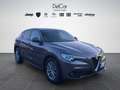 Alfa Romeo Stelvio Stelvio 2.2 Turbo Diesel 160 Cv. AT8 RWD Business Grigio - thumbnail 8