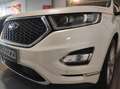 Ford Edge - 2.0 TDCI 210 CV AWD Start&Stop Powershift Vignal Bianco - thumbnail 23