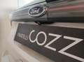 Ford Edge - 2.0 TDCI 210 CV AWD Start&Stop Powershift Vignal Bianco - thumbnail 30