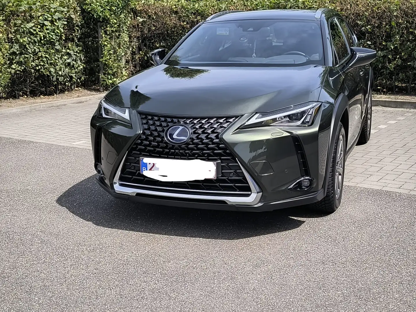 Lexus UX 250h Business Edition - 1