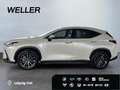 Lexus NX 350h Executive Line *HUD*Leder*360°*el Sitze* Weiß - thumbnail 5