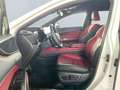 Lexus NX 350h Executive Line *HUD*Leder*360°*el Sitze* Weiß - thumbnail 9