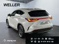 Lexus NX 350h Executive Line *HUD*Leder*360°*el Sitze* Weiß - thumbnail 7