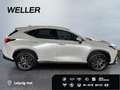 Lexus NX 350h Executive Line *HUD*Leder*360°*el Sitze* Weiß - thumbnail 10