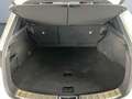 Lexus NX 350h Executive Line *HUD*Leder*360°*el Sitze* Weiß - thumbnail 18