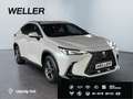Lexus NX 350h Executive Line *HUD*Leder*360°*el Sitze* Weiß - thumbnail 4