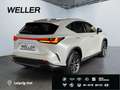 Lexus NX 350h Executive Line *HUD*Leder*360°*el Sitze* Weiß - thumbnail 19