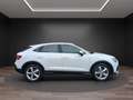 Audi Q3 Q3 SPB 40 TDI quattro S tronic Business Plus Bianco - thumbnail 7