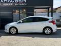 Ford Focus *1. Besitz* Weiß - thumbnail 8