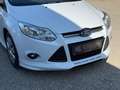 Ford Focus *1. Besitz* Weiß - thumbnail 11