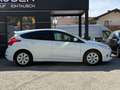 Ford Focus *1. Besitz* Weiß - thumbnail 2