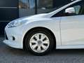 Ford Focus *1. Besitz* Weiß - thumbnail 12