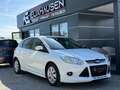 Ford Focus *1. Besitz* Weiß - thumbnail 1