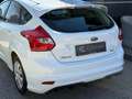Ford Focus *1. Besitz* Weiß - thumbnail 6