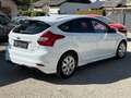 Ford Focus *1. Besitz* Weiß - thumbnail 3