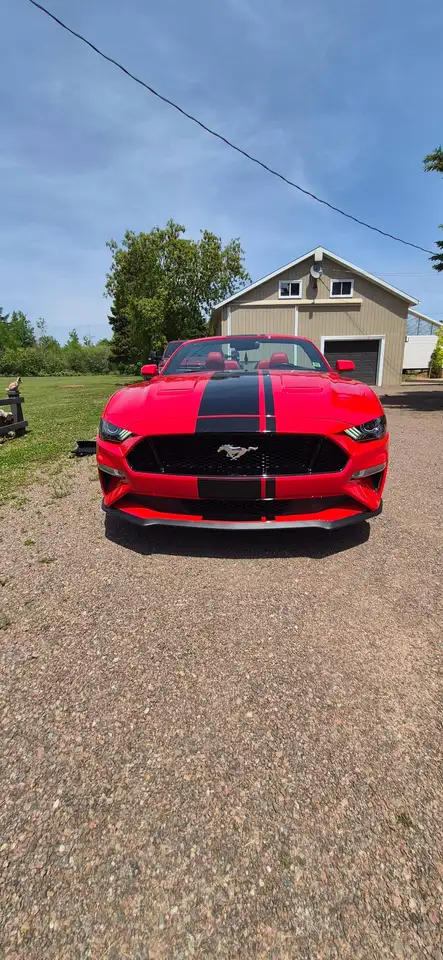 2019 Ford Mustang