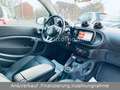 smart forTwo Brabus Xclusive 90Ps AUTOM/LEDER/NAVI/KAM Grau - thumbnail 9