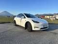 Tesla Model Y AWD 79kWh Performance - thumbnail 3