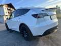 Tesla Model Y AWD 79kWh Performance - thumbnail 6