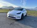 Tesla Model Y AWD 79kWh Performance - thumbnail 1