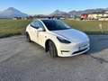 Tesla Model Y AWD 79kWh Performance - thumbnail 4