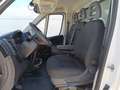 Fiat Ducato Ch.Cb. Heavy Duty 35 2.2Mjt L3 H1 140CV Blanco - thumbnail 11