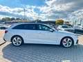 Audi A4 Avant 45 TDI QUATTRO S-TRONIC"S-LINE"PANO*LED Blanc - thumbnail 9