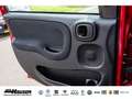 Fiat Panda MY25 Hybrid 1.0 GSE CITY-PAKET TEMPOMAT PDC KLIMA Rot - thumbnail 14