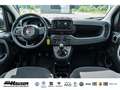 Fiat Panda MY25 Hybrid 1.0 GSE CITY-PAKET TEMPOMAT PDC KLIMA Rot - thumbnail 11