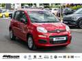 Fiat Panda MY25 Hybrid 1.0 GSE CITY-PAKET TEMPOMAT PDC KLIMA Rot - thumbnail 5