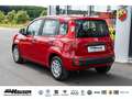 Fiat Panda MY25 Hybrid 1.0 GSE CITY-PAKET TEMPOMAT PDC KLIMA Rot - thumbnail 3