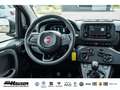 Fiat Panda MY25 Hybrid 1.0 GSE CITY-PAKET TEMPOMAT PDC KLIMA Rot - thumbnail 12