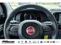 Fiat Panda MY25 Hybrid 1.0 GSE CITY-PAKET TEMPOMAT PDC KLIMA Rot - thumbnail 17