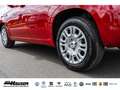 Fiat Panda MY25 Hybrid 1.0 GSE CITY-PAKET TEMPOMAT PDC KLIMA Rot - thumbnail 6