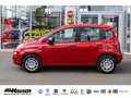 Fiat Panda MY25 Hybrid 1.0 GSE CITY-PAKET TEMPOMAT PDC KLIMA Rot - thumbnail 2