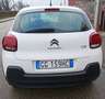 Citroen C3 4 posti/autocarro van n1  102cv clima km 48000 Blanc - thumbnail 4