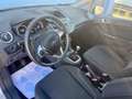 Ford Fiesta Fiesta 1.5 TDCi 75 FAP Ambiente - thumbnail 12