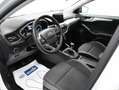 Ford Focus 1.5Ecoblue Trend+ 120 Blanco - thumbnail 8