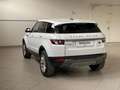 Land Rover Range Rover Evoque 5P 2.TD4 150CV Pure Weiß - thumbnail 12