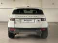Land Rover Range Rover Evoque 5P 2.TD4 150CV Pure Weiß - thumbnail 8